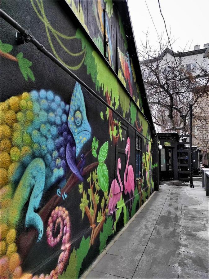צ'יסינאו Bern Hostel מראה חיצוני תמונה
